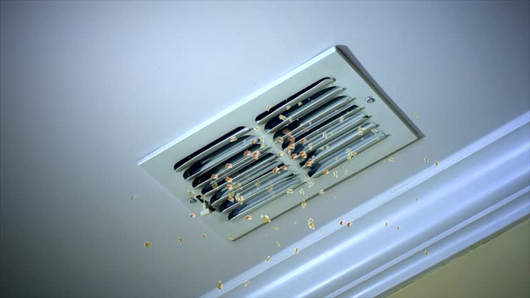 Best Affordable Air Duct Cleaning  in Crystal Lawns, IL
