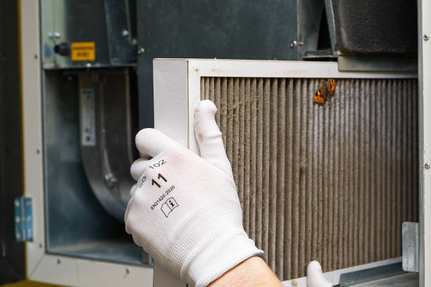 Best Commercial Air Duct Cleaning  in Crystal Lawns, IL