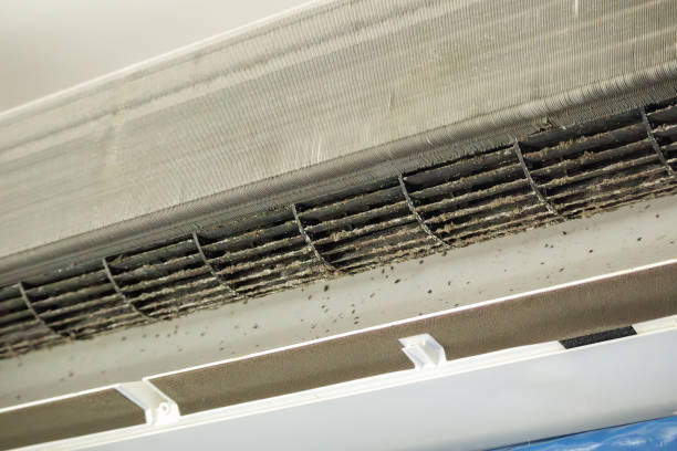 Best Duct Cleaning Specialists  in Crystal Lawns, IL